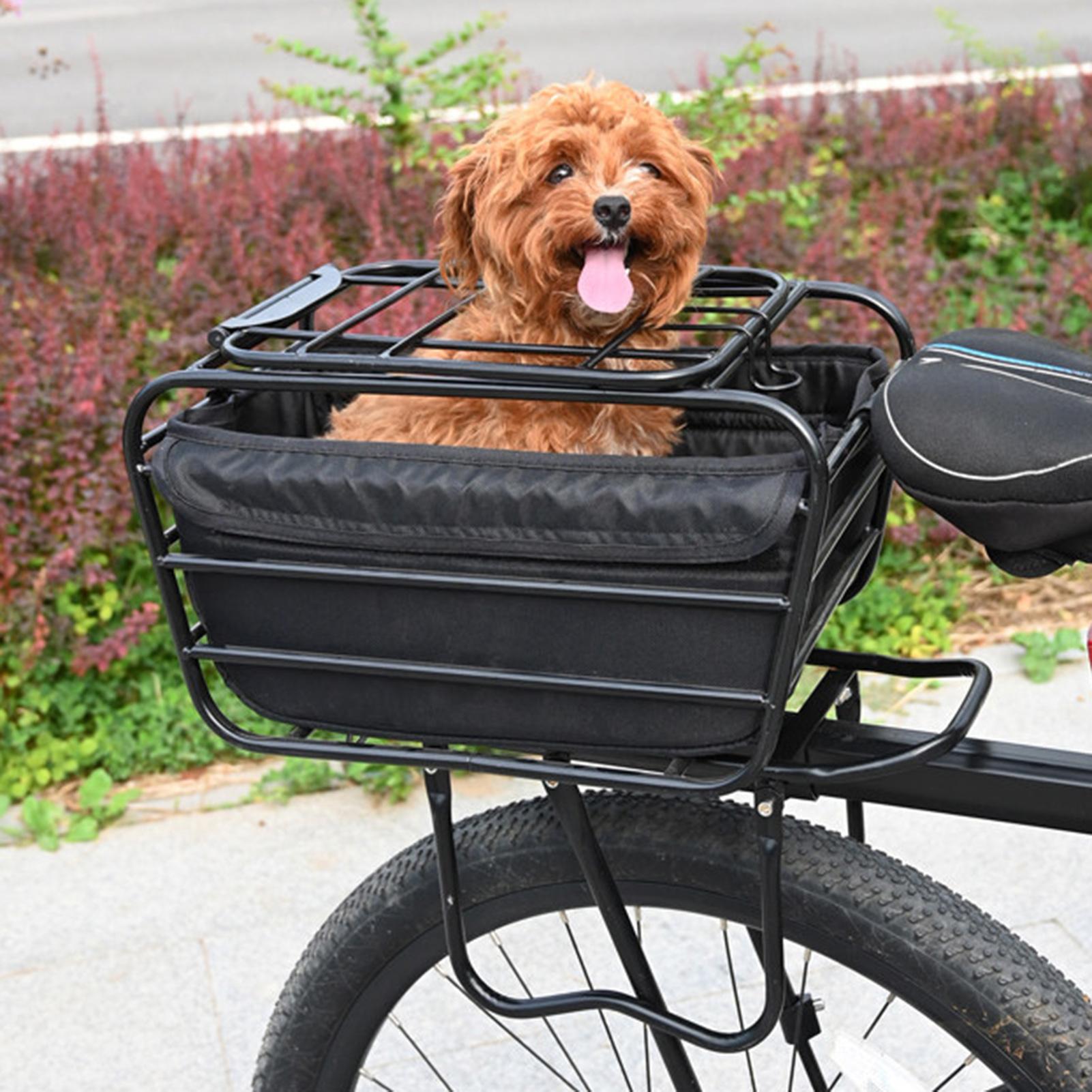 Cesta para bicicleta de gran c - Cycling In City reseña y precio